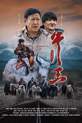 夜月直播高清视频在线观看